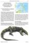 Preview: The Book of Monitor Lizards